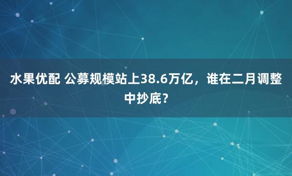 水果优配 公募规模站上38.6万亿，谁在二月调整中抄底？