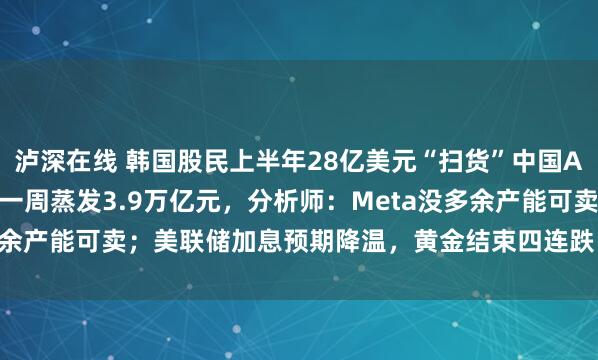 泸深在线 韩国股民上半年28亿美元“扫货”中国AI全景图；美半导体市值一周蒸发3.9万亿元，分析师：Meta没多余产能可卖；美联储加息预期降温，黄金结束四连跌 | 一周国际财经